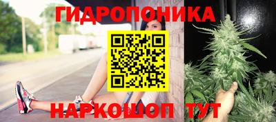 кристаллы Можга