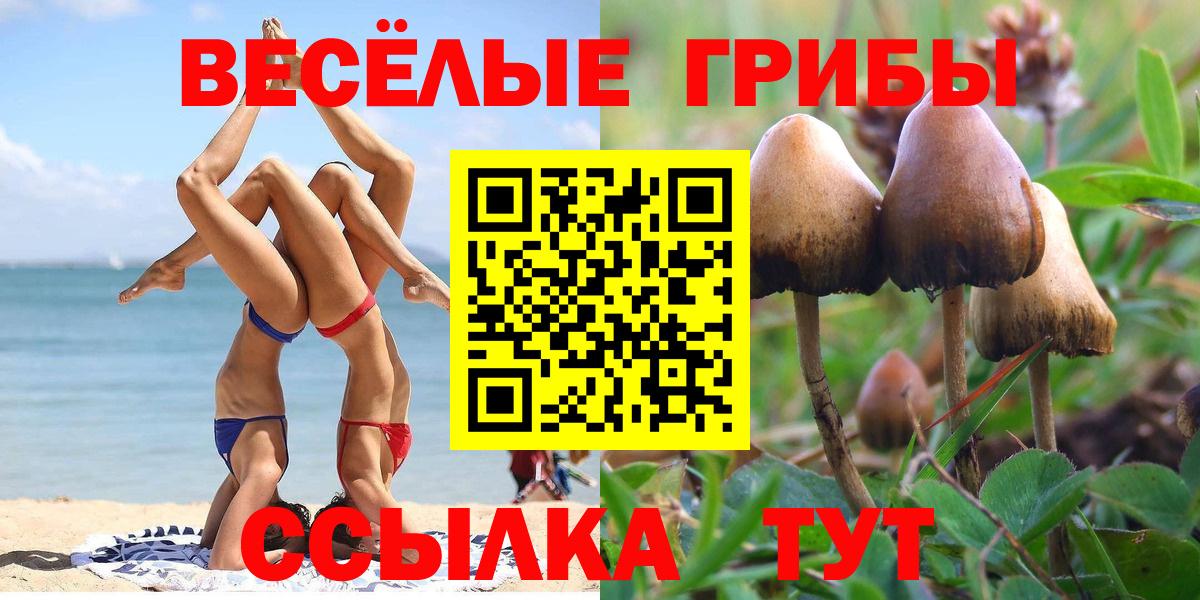 Галлюциногенные грибы мицелий  Вход с VPN  Углич 